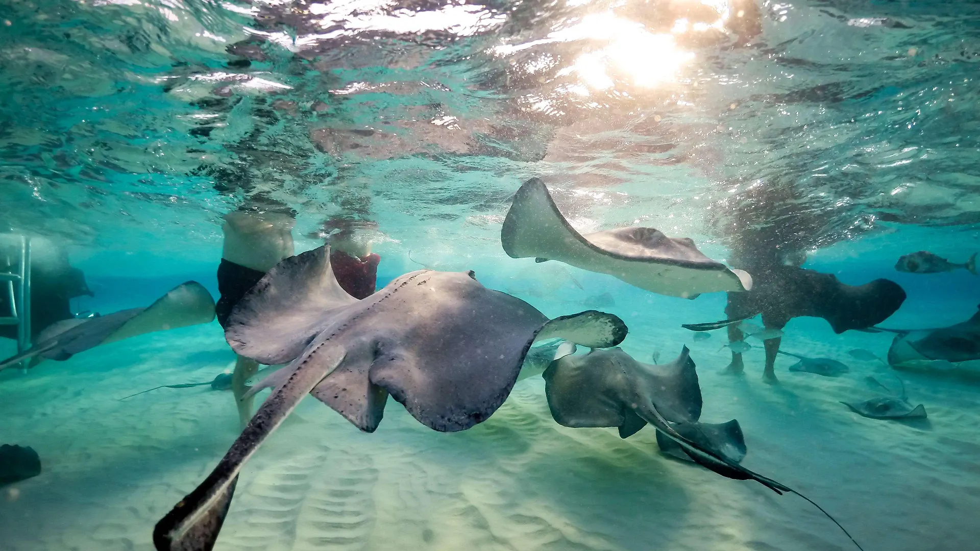 Wyndham Reef Resort, Grand Cayman East End