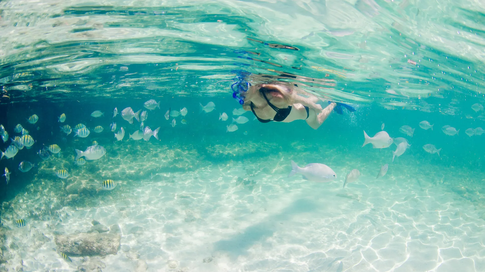 Wyndham Reef Resort, Grand Cayman East End 4*,