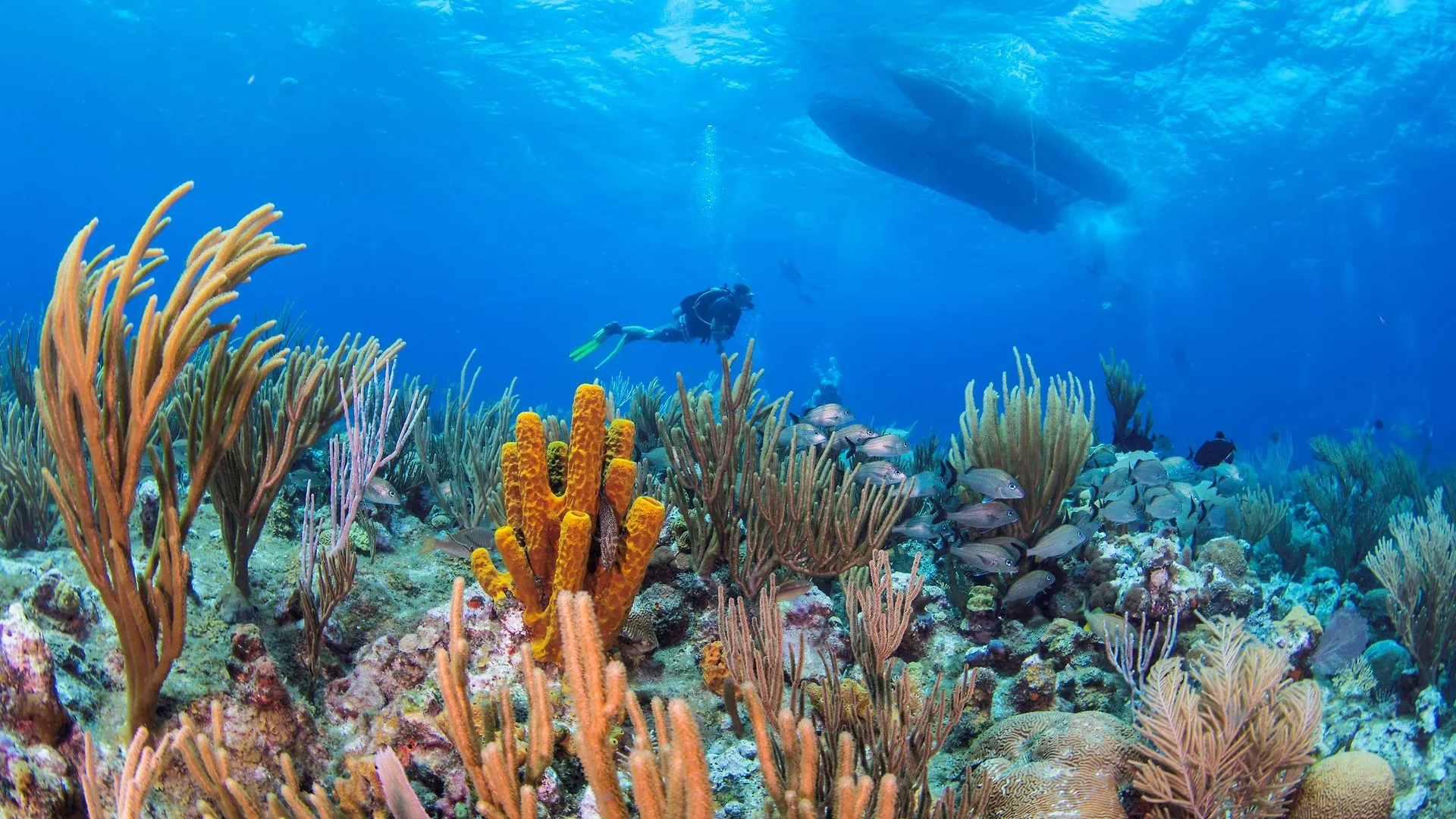 Wyndham Reef Resort, Grand Cayman East End Cayman Islands